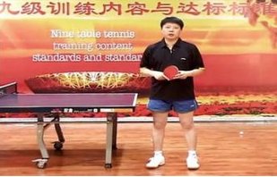 乒乓球九級訓(xùn)練內(nèi)容與達(dá)標(biāo)教學(xué)教程專輯