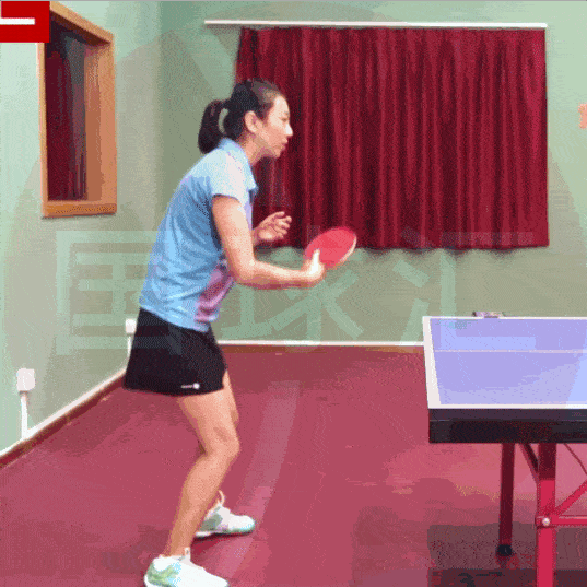 【王晶教練】正手和反手發(fā)力完全不同，你知道嗎？