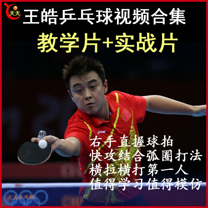 王皓乒乓球教學(xué)與實(shí)戰(zhàn)視頻合集&nbsp;百度網(wǎng)盤下載