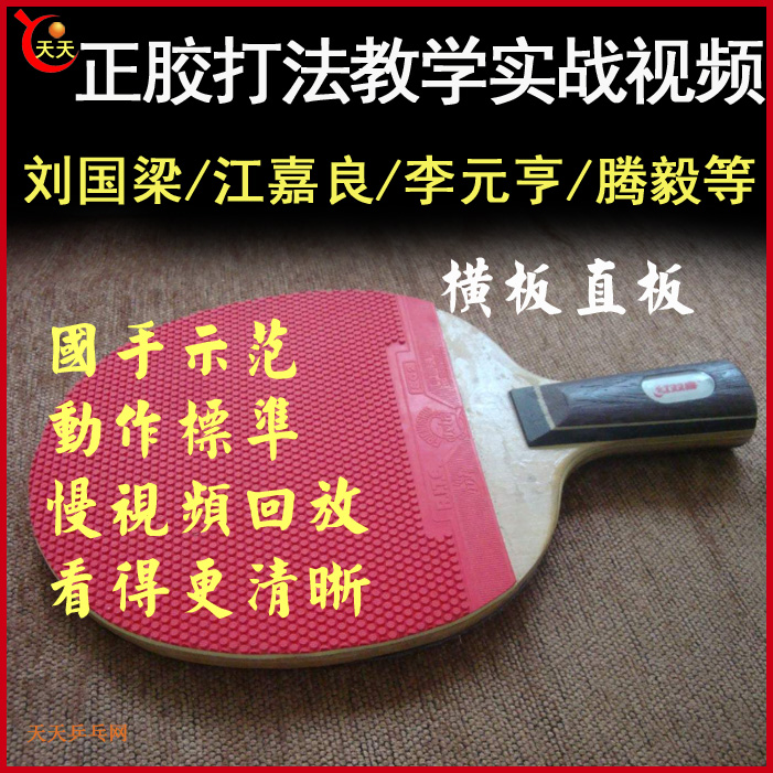 乒乓球《正膠打法》教學(xué)視頻合集&nbsp;百度網(wǎng)盤下載