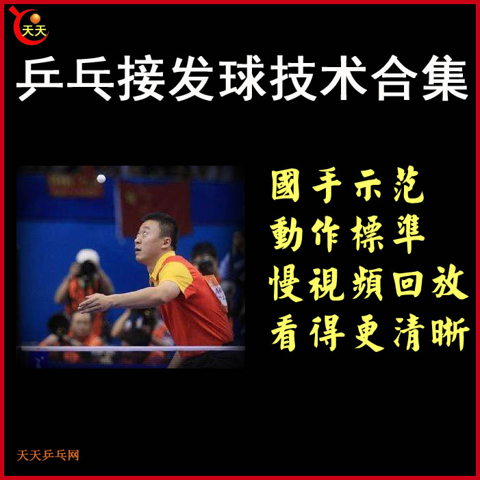 乒乓球《接發(fā)球技術(shù)》教學(xué)視頻合集&nbsp;百度網(wǎng)盤下載