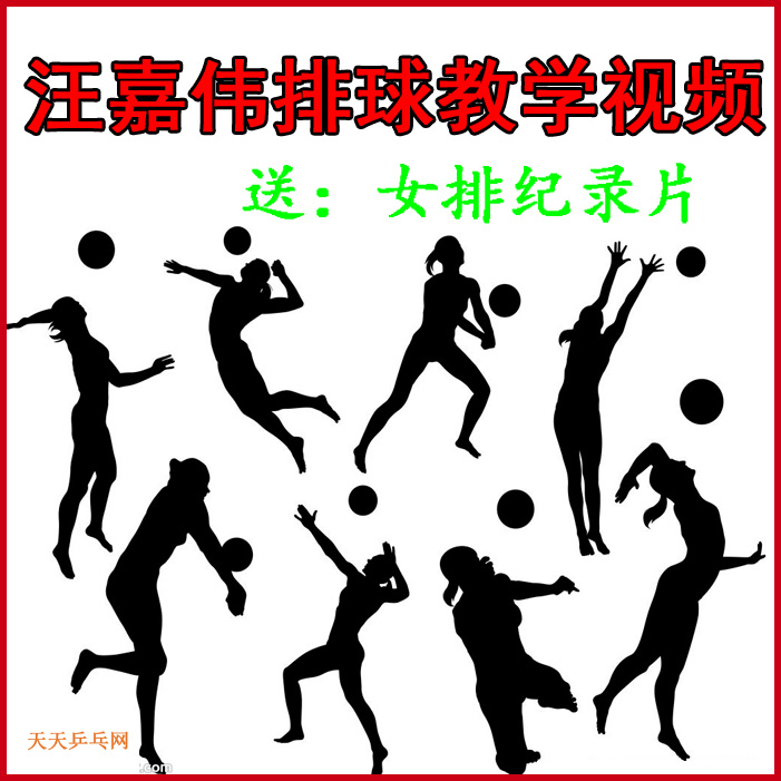 汪嘉偉排球教學(xué)視頻合集百度網(wǎng)盤下載