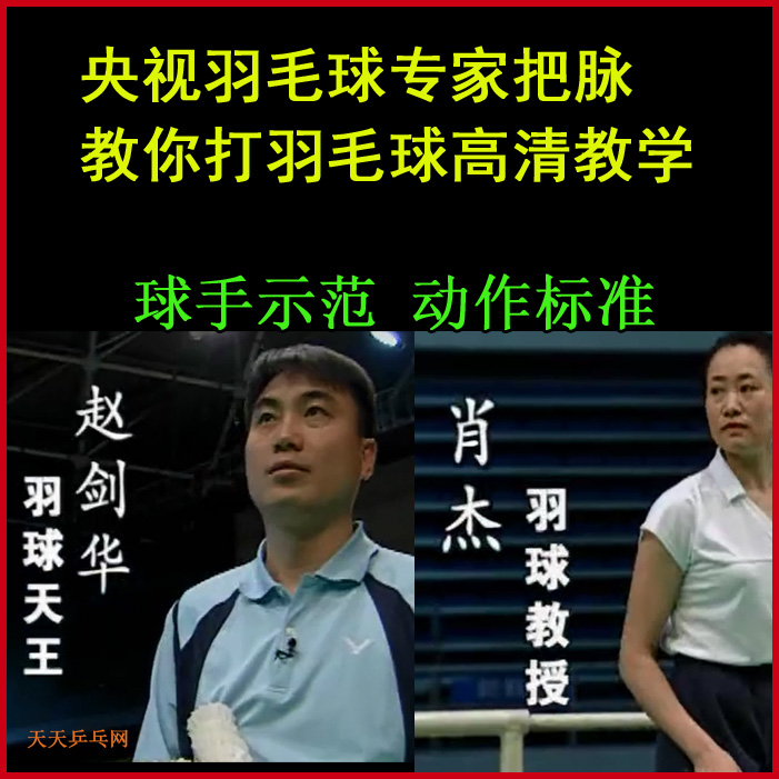 央視羽毛球?qū)＜野衙}視頻教程全集百度網(wǎng)盤下載