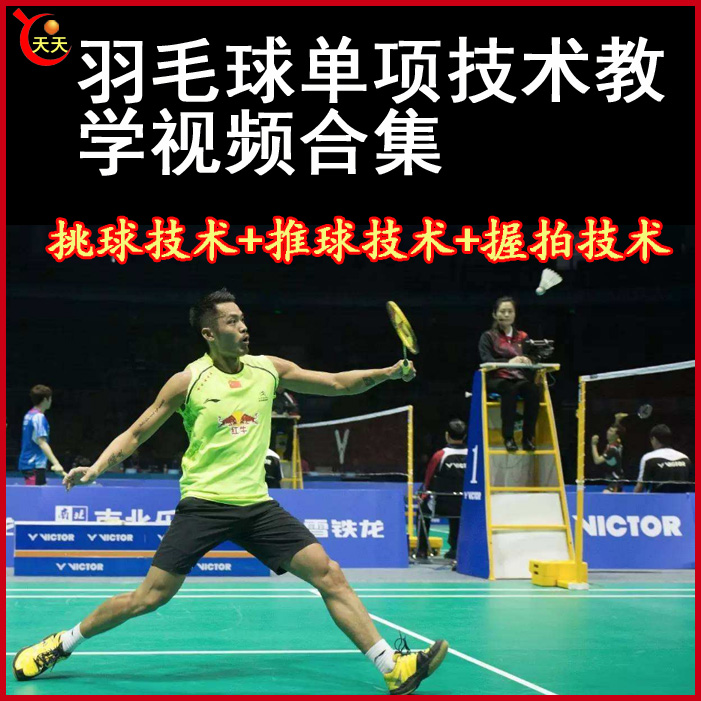 羽毛球挑球技術(shù)+推球技術(shù)+握拍技術(shù)視頻教程全集百度網(wǎng)盤下載