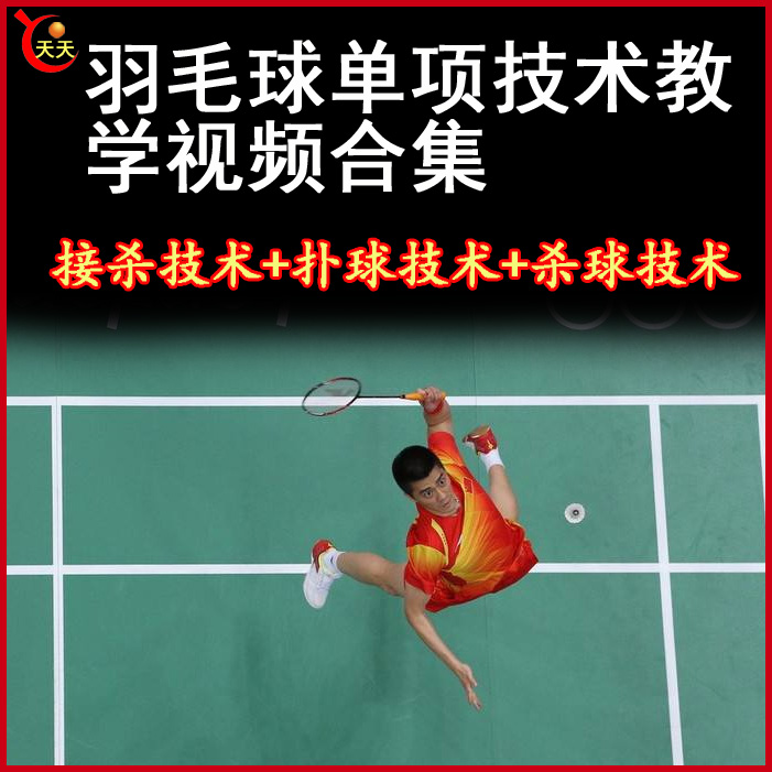 羽毛球接殺技術+撲球技術+殺球技術視頻教程全集百度網盤下載