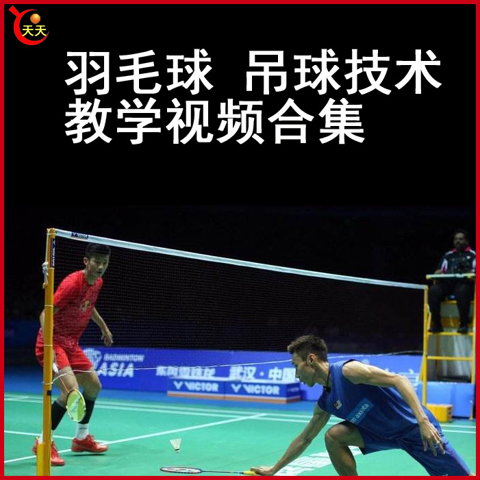 羽毛球吊球羽毛球視頻教程全集百度網盤下載