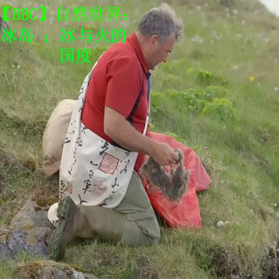 【BBC】自然世界：冰島：冰與火的國度百度云百度網(wǎng)盤下載