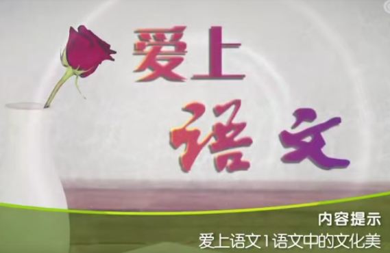 百家講壇王崧舟《愛上語文》視頻和音頻全集百度網(wǎng)盤下載