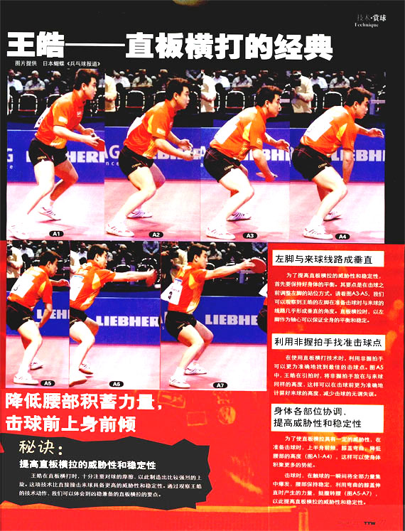 王皓直板橫打圖示1