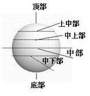 乒乓球運動中如何區(qū)分打球和摩擦球