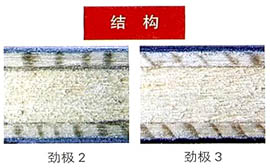 狂飚”坐鎮(zhèn)，“勁極”來襲！