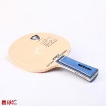 驕猛 米開朗基羅 Michelangelo