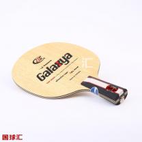 亞薩卡 YG Galaxya