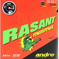 岸度 銳煞 Powersponge Rasant Powersponge