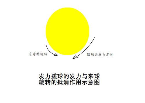 乒乓球搓球的線路和旋轉(zhuǎn)變化(圖)