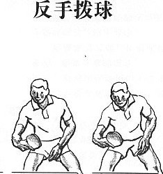 反手撥球圖解和練習方法