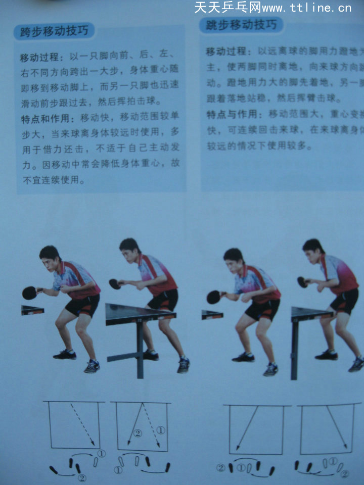 跟教練學(xué)乒乓-基本步法-跨步移動技巧和并步移動技巧