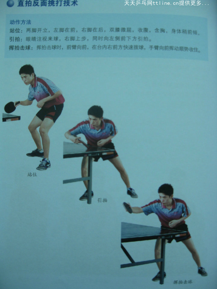 跟教練學(xué)乒乓-挑打技術(shù)-直板反面挑打技術(shù)