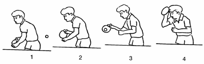 正手攻球圖解動(dòng)作要領(lǐng)示范