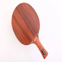 乒乓裝備Q&A：專業(yè)選手用的兩面狂飚我能駕馭嗎？|深度好文