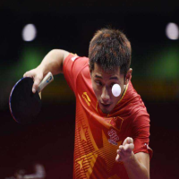 蝴蝶波爾ALC、張繼科ALC、VIS30041、龍5X和許昕藍(lán)標(biāo)五款經(jīng)典乒乓球拍性能對比