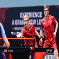 勒布倫兄弟的挺拔球板有何異與同？|底板