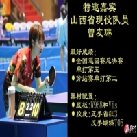 曾經(jīng)王者-劉詩雯ZLF底板試打，為什么省隊(duì)女隊(duì)使用完就扔掉了968和VIS？