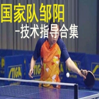 國(guó)家隊(duì)鄒陽(yáng)-技術(shù)指導(dǎo)全合集（收藏）