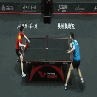 樊振東，會成為下一任大滿貫嗎？