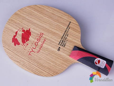 弧快打法神器:729陽(yáng)光海豚底板簡(jiǎn)要測(cè)評(píng)