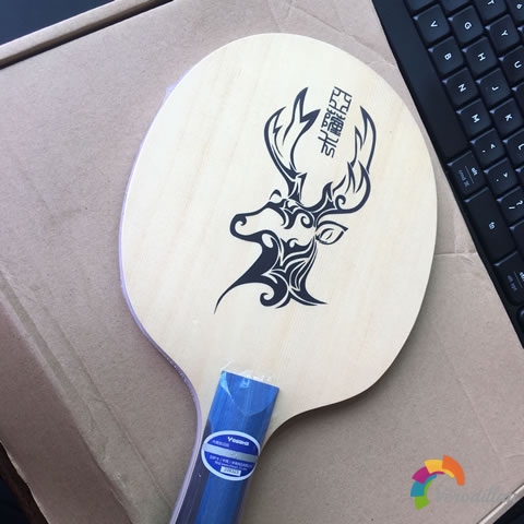 亞薩卡普里莫拉茨碳板試用測(cè)評(píng)