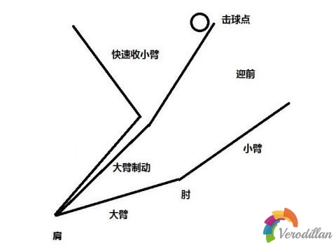 [小我私人實戰總結]弧圈球動作要點淺析