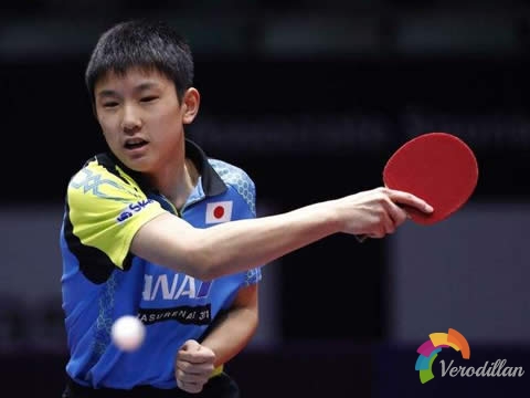 張本智和乒乓球手藝有什么特點[球星解碼]