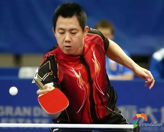 淺談橫握反手長膠打法[履歷總結]