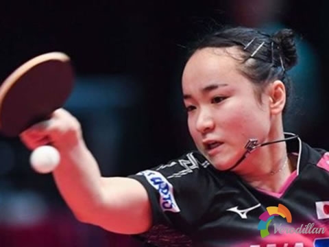 淺談乒乓球四大因素之首-氣力[生膠篇]