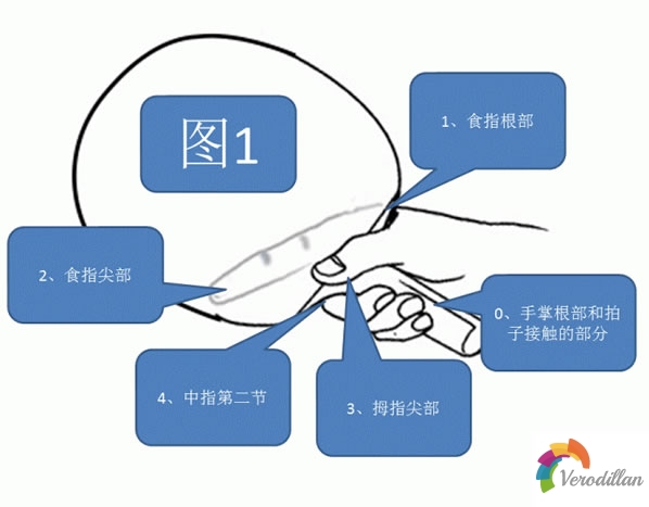 乒乓球基礎之若何科學握拍