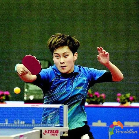 論長膠倒板[履歷總結]