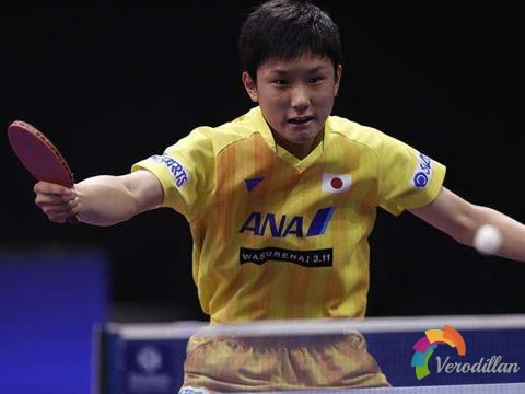 乒乓初學者盯球有哪些常見問題