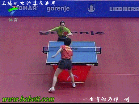 王楠進攻的落點運用